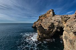 DSC04086 -1_t.jpg